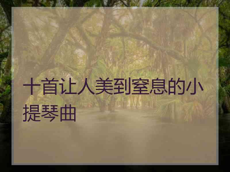 十首让人美到窒息的小提琴曲