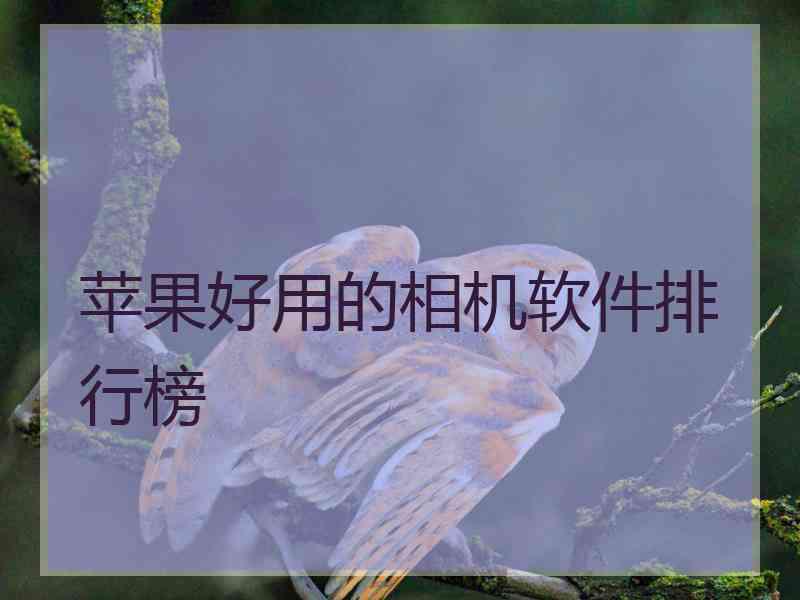 苹果好用的相机软件排行榜