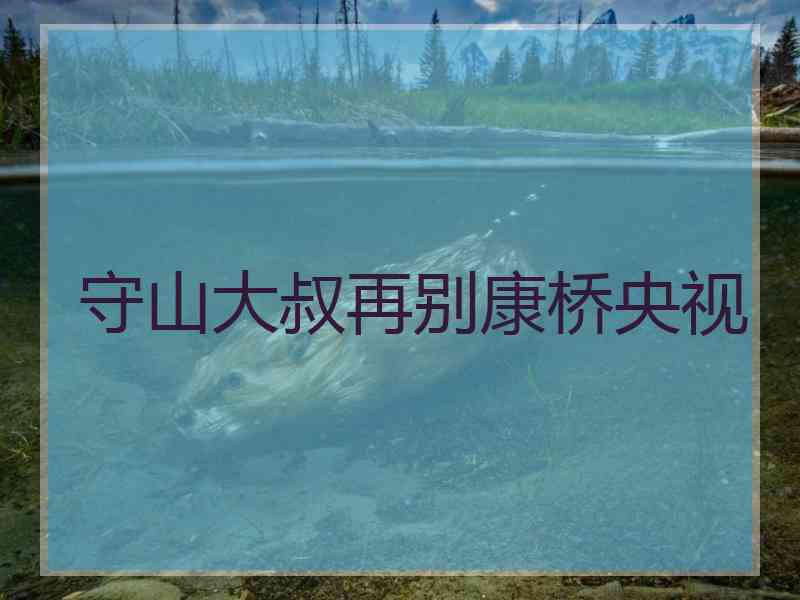 守山大叔再别康桥央视