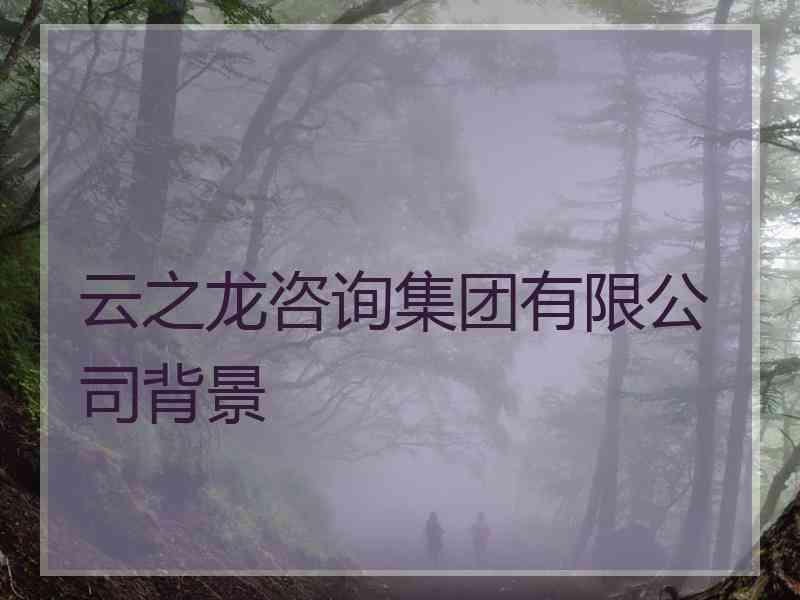 云之龙咨询集团有限公司背景