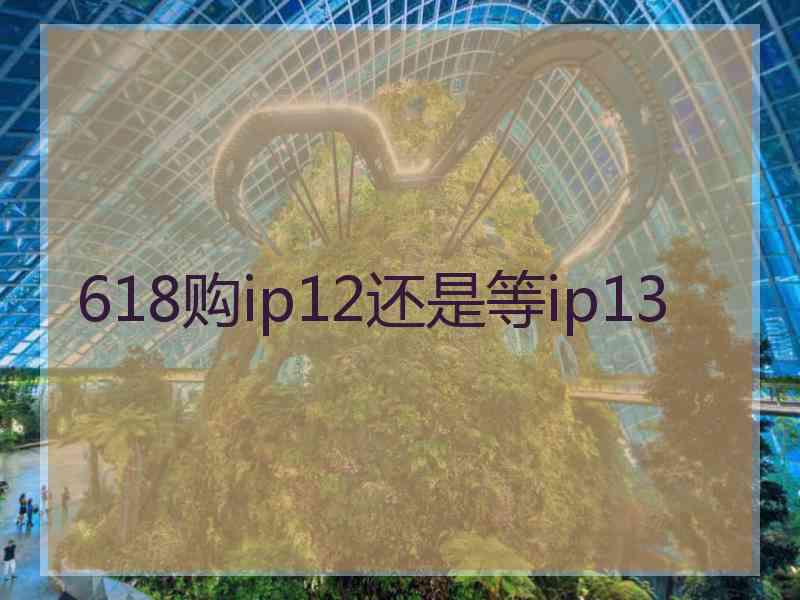 618购ip12还是等ip13