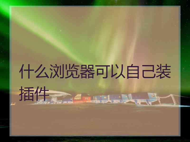 什么浏览器可以自己装插件