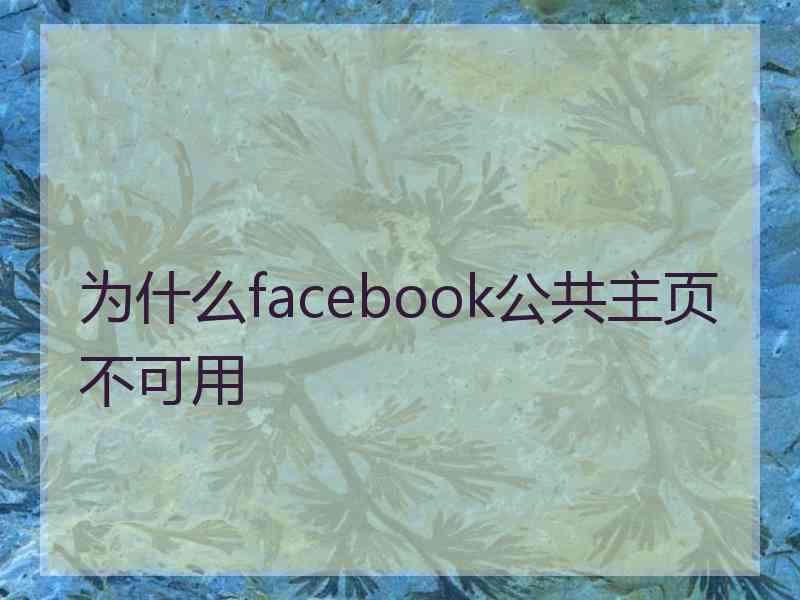 为什么facebook公共主页不可用