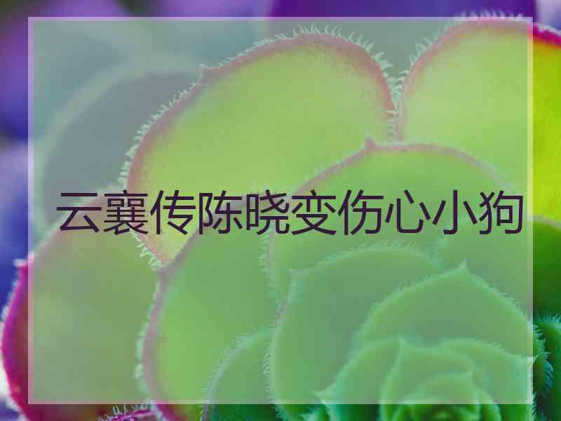 云襄传陈晓变伤心小狗