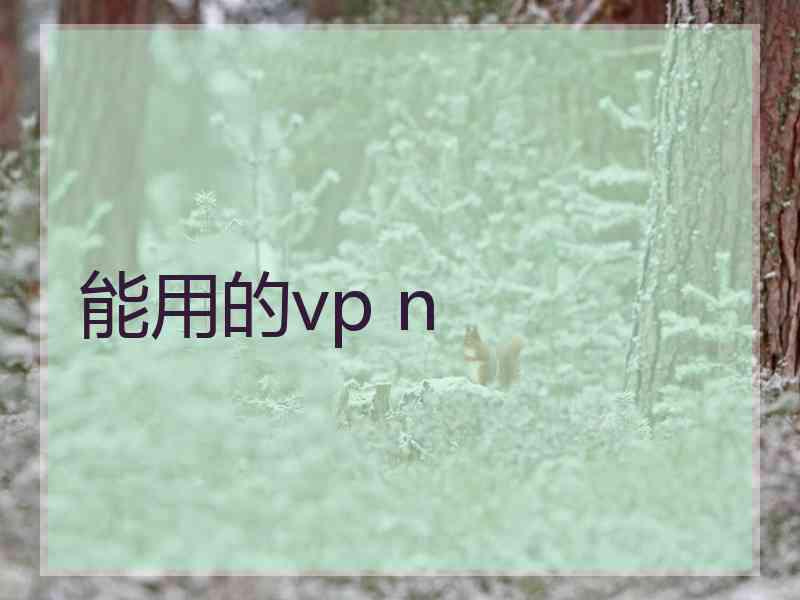 能用的vp n