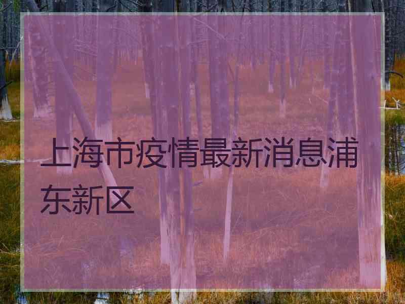 上海市疫情最新消息浦东新区