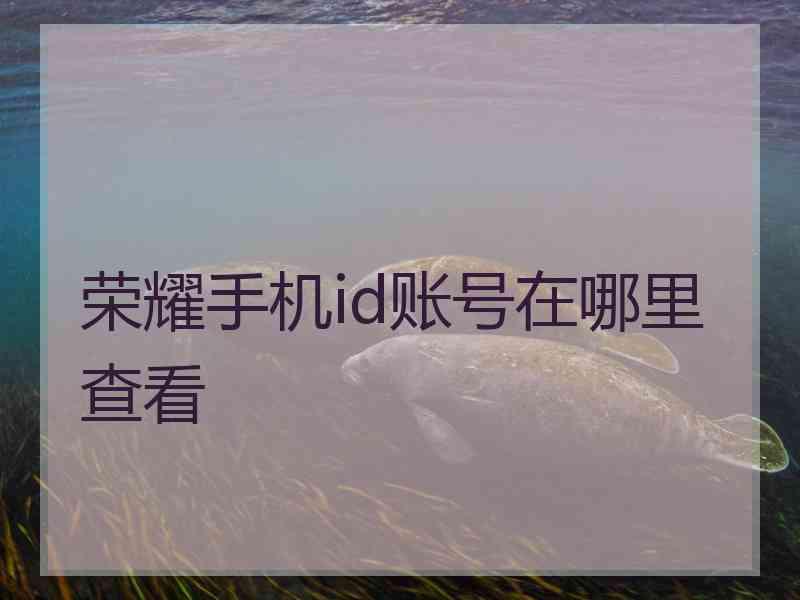 荣耀手机id账号在哪里查看