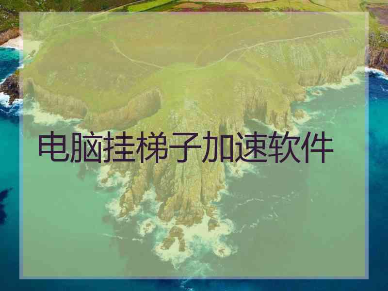 电脑挂梯子加速软件