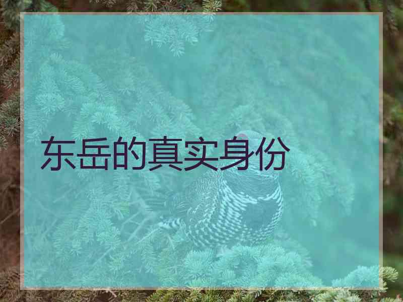 东岳的真实身份
