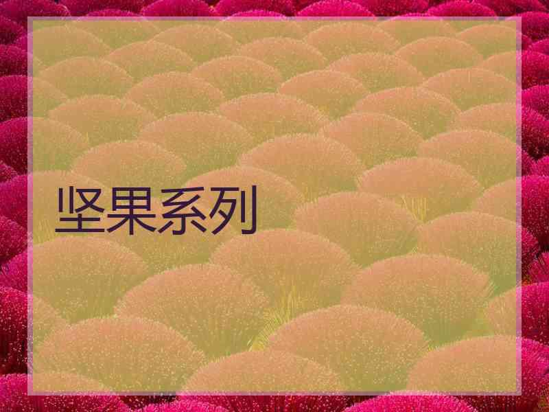 坚果系列