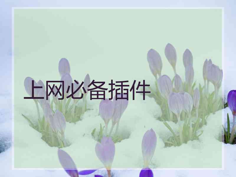 上网必备插件