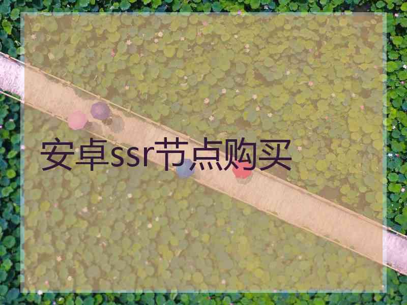 安卓ssr节点购买