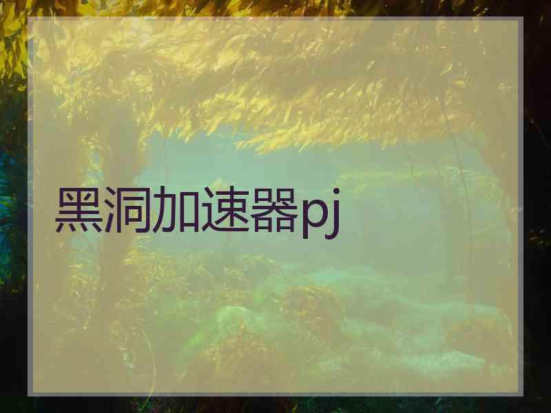 黑洞加速器pj