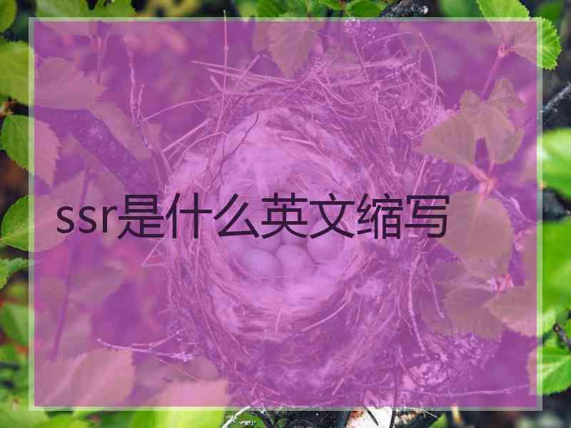 ssr是什么英文缩写
