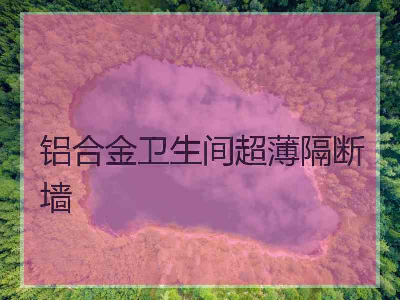 铝合金卫生间超薄隔断墙