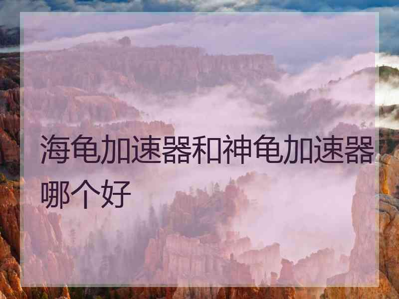 海龟加速器和神龟加速器哪个好