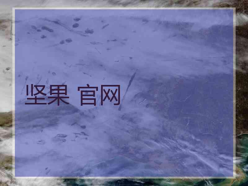 坚果 官网