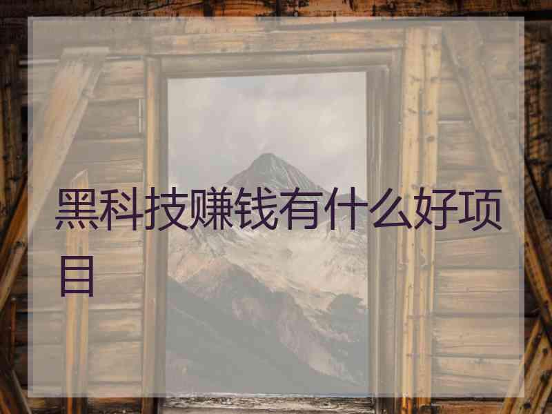 黑科技赚钱有什么好项目