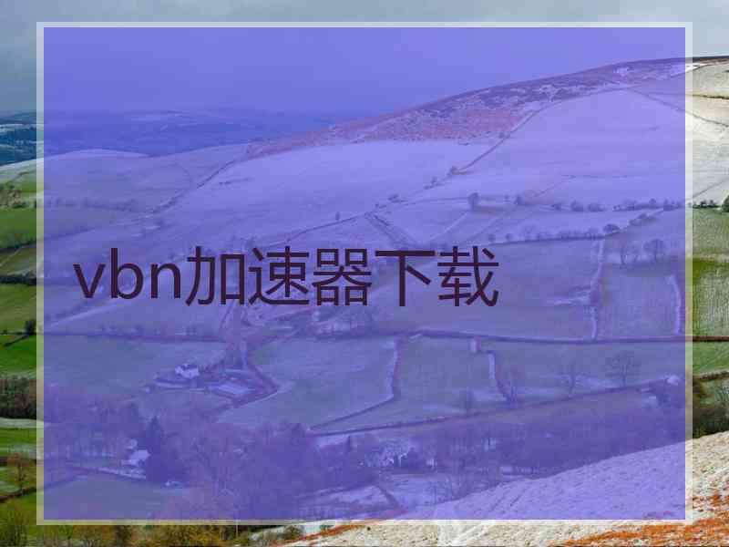 vbn加速器下载