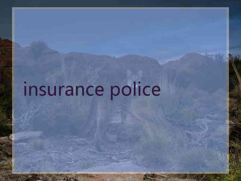 insurance police