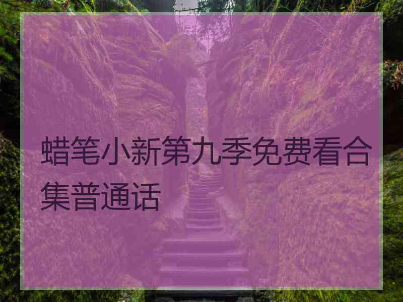 蜡笔小新第九季免费看合集普通话