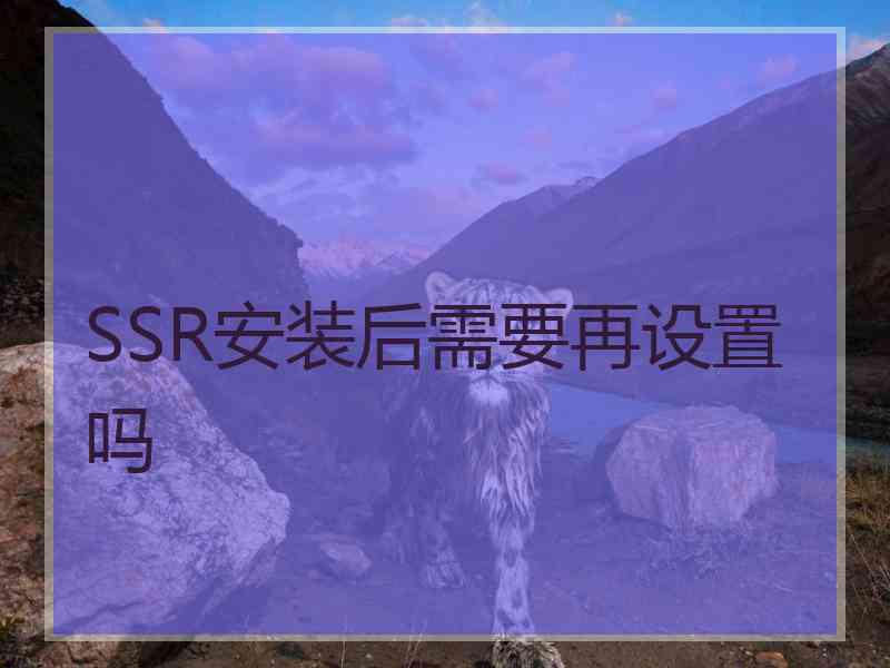 SSR安装后需要再设置吗