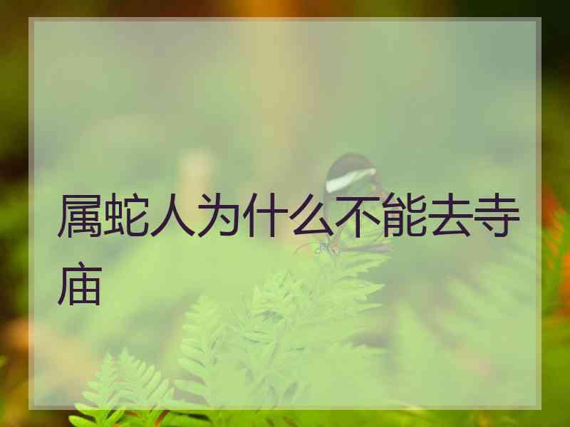 属蛇人为什么不能去寺庙