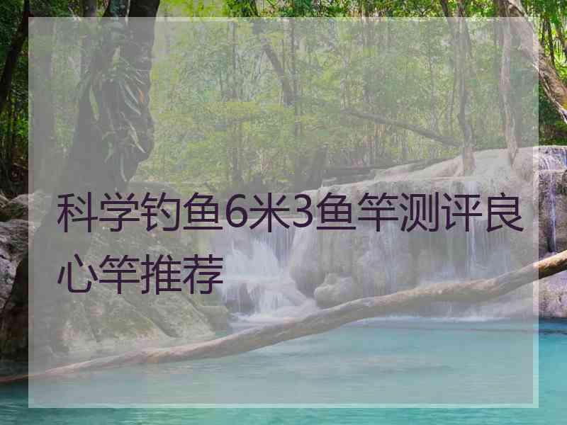 科学钓鱼6米3鱼竿测评良心竿推荐