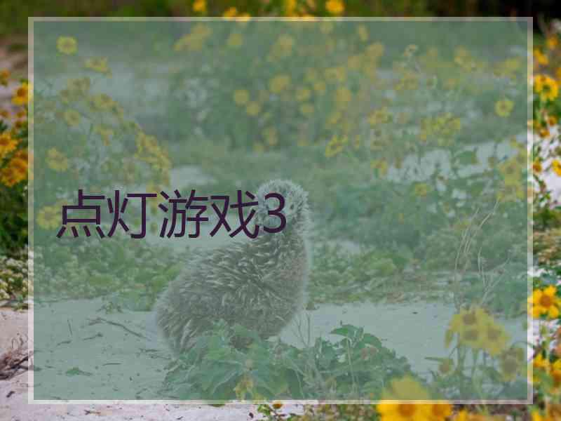 点灯游戏3
