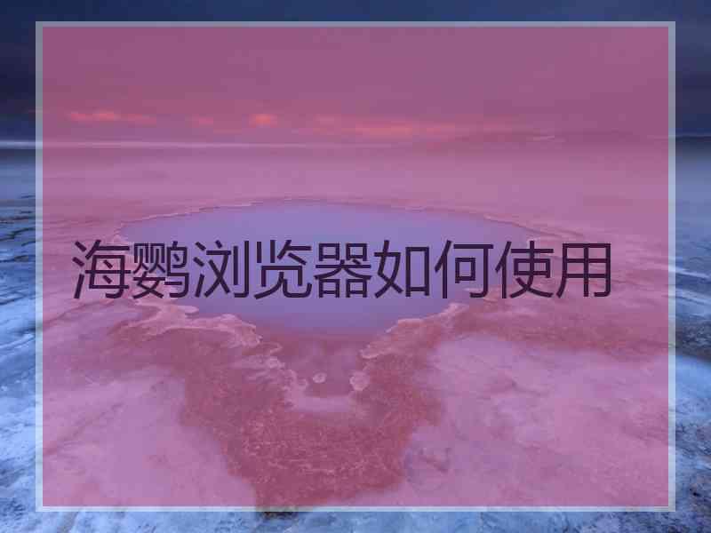 海鹦浏览器如何使用
