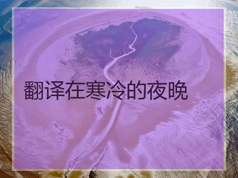 翻译在寒冷的夜晚