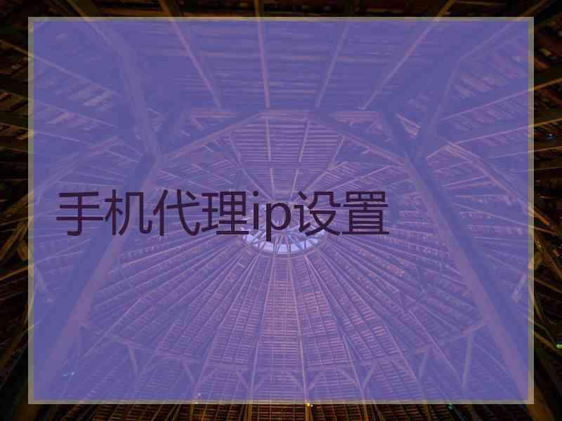 手机代理ip设置