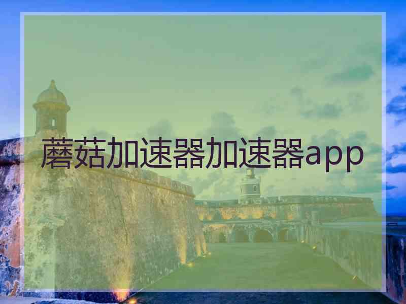 蘑菇加速器加速器app