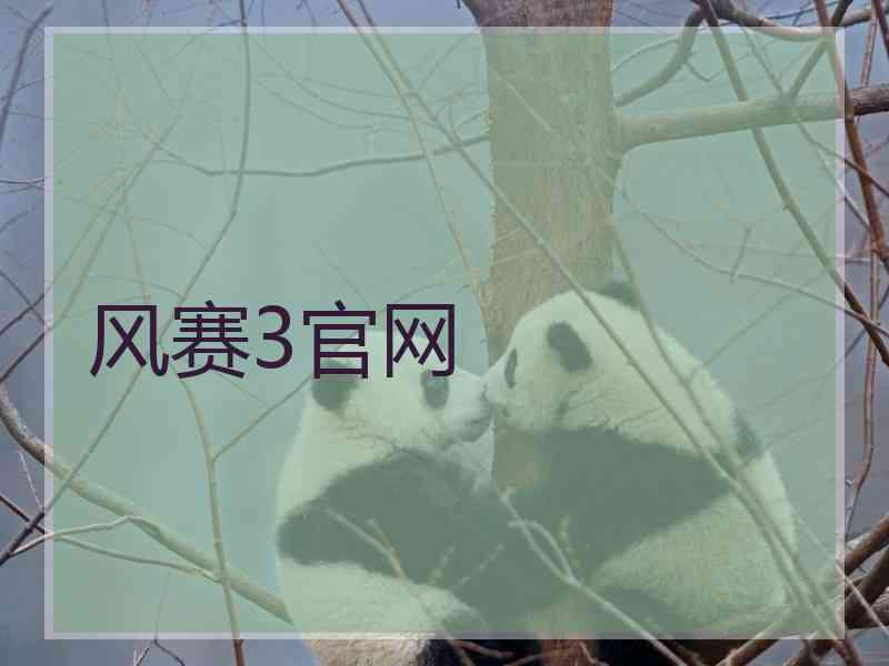 风赛3官网