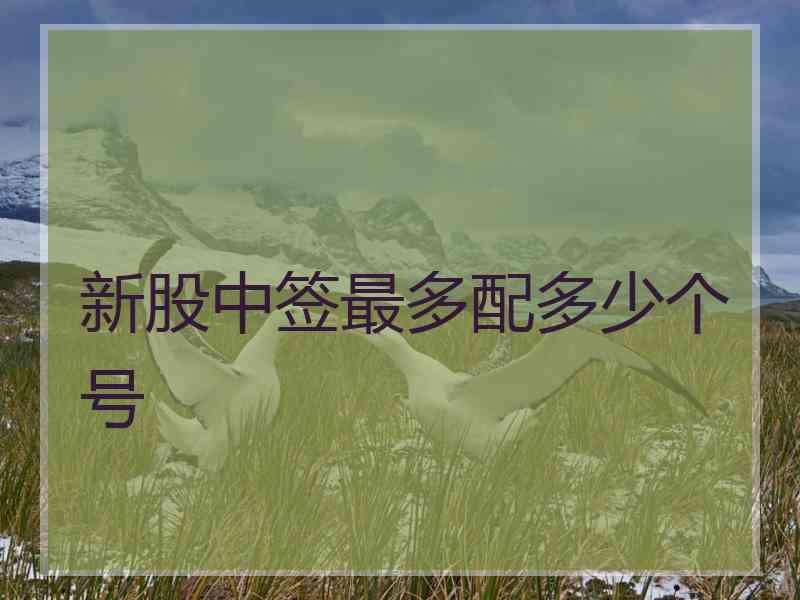 新股中签最多配多少个号