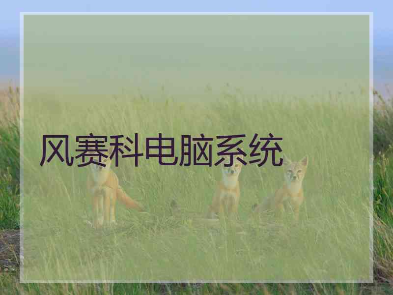 风赛科电脑系统