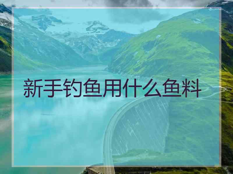 新手钓鱼用什么鱼料