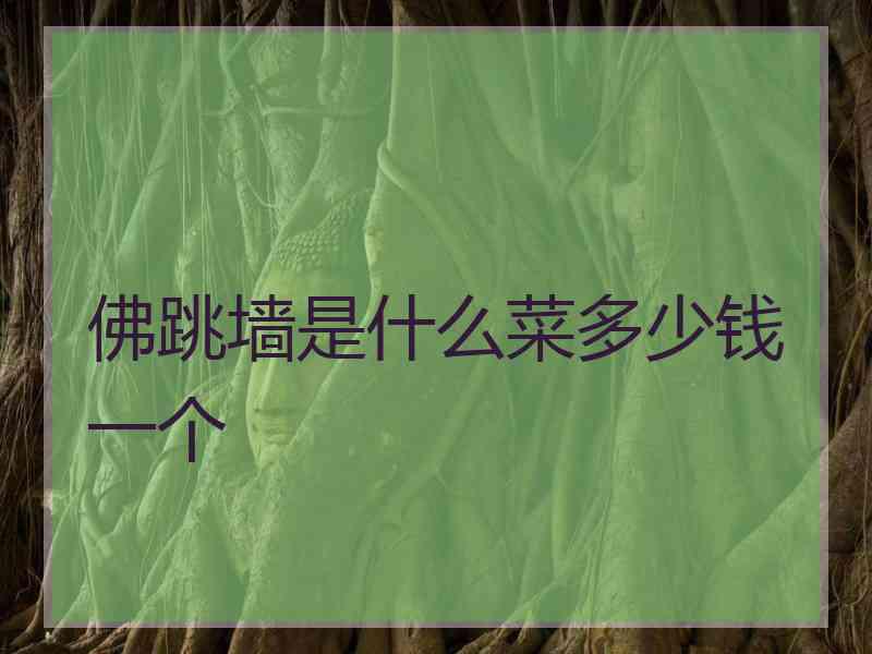 佛跳墙是什么菜多少钱一个