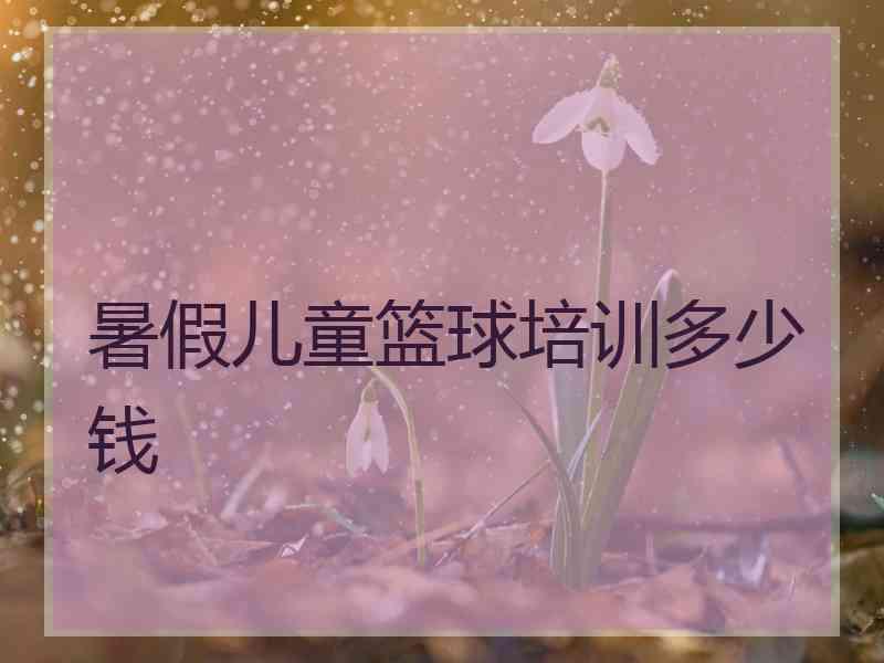 暑假儿童篮球培训多少钱