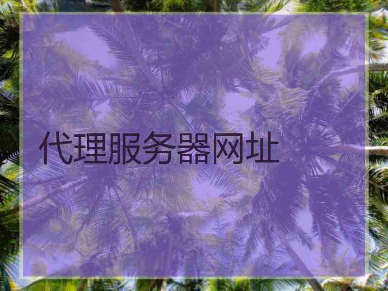 代理服务器网址