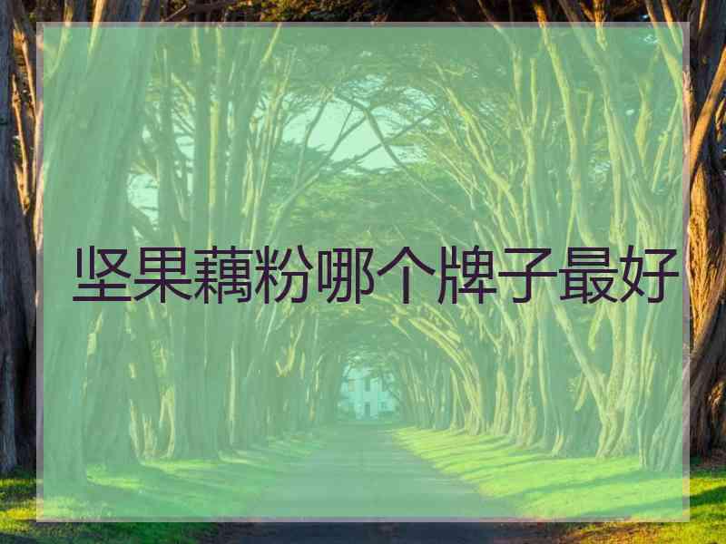 坚果藕粉哪个牌子最好