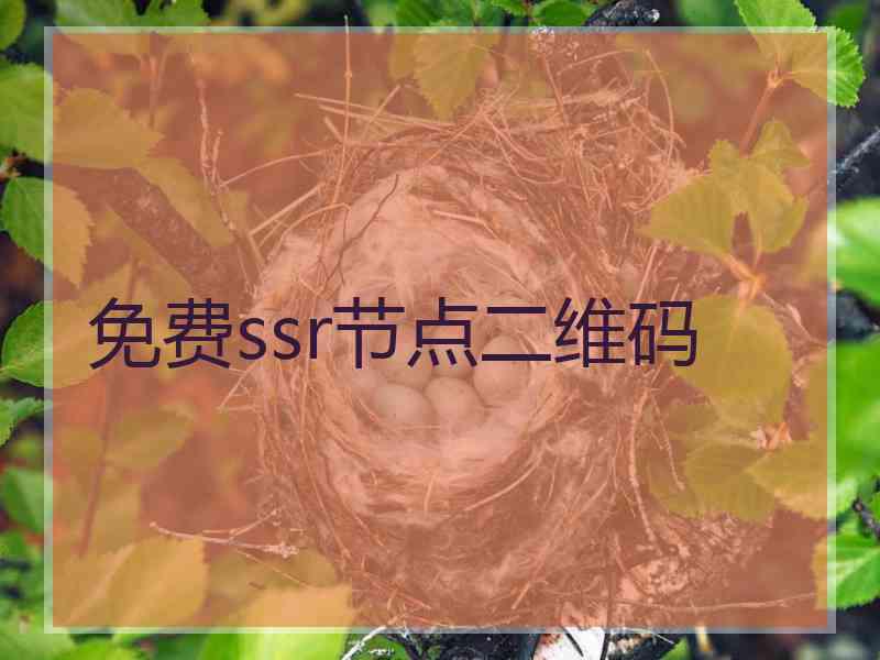 免费ssr节点二维码
