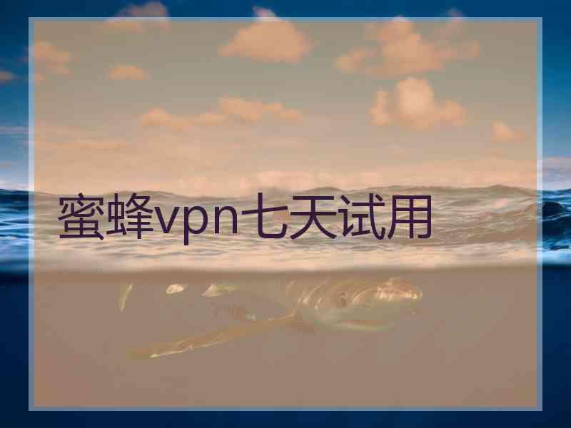 蜜蜂vpn七天试用