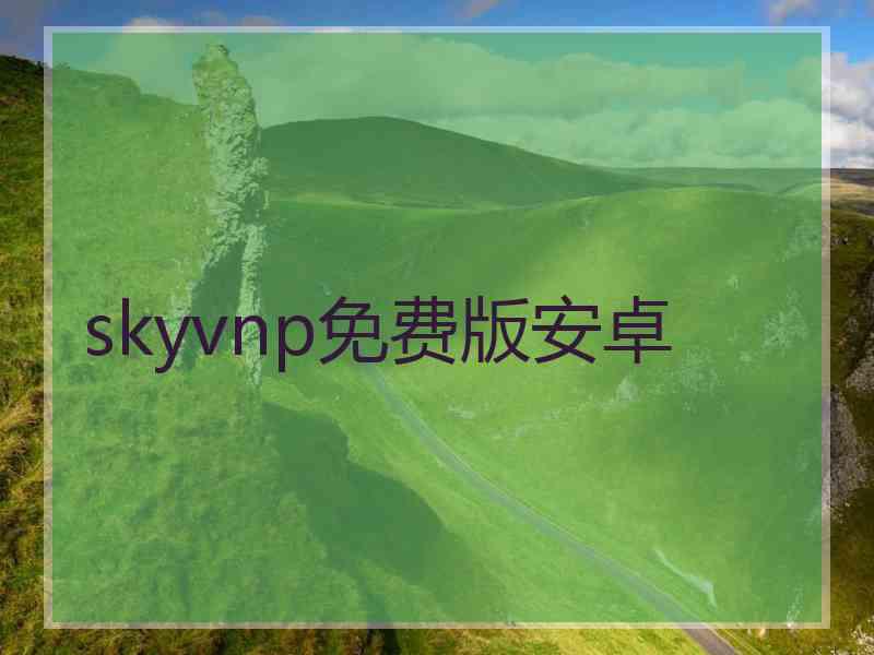 skyvnp免费版安卓