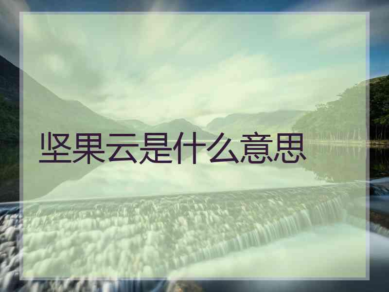 坚果云是什么意思