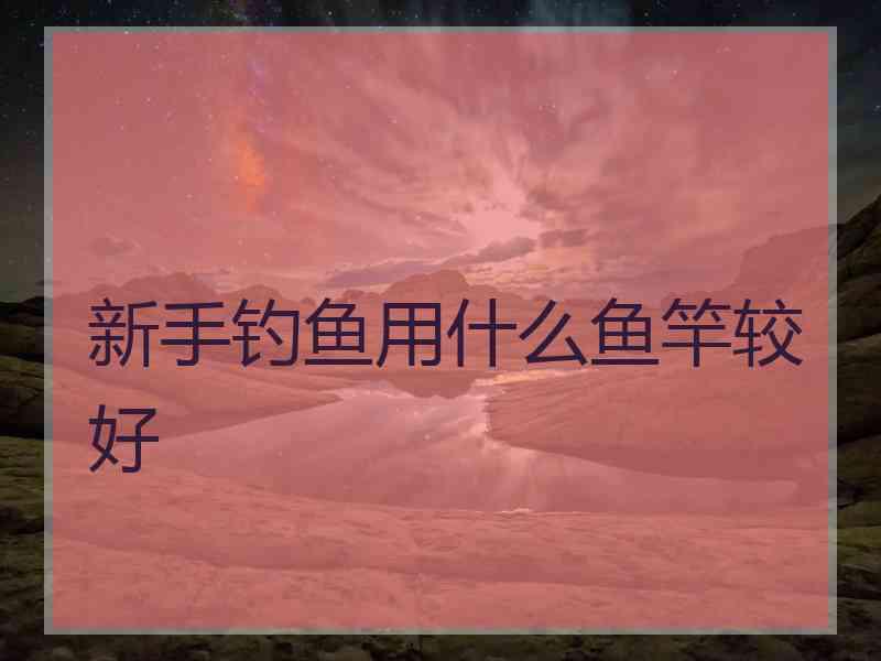 新手钓鱼用什么鱼竿较好