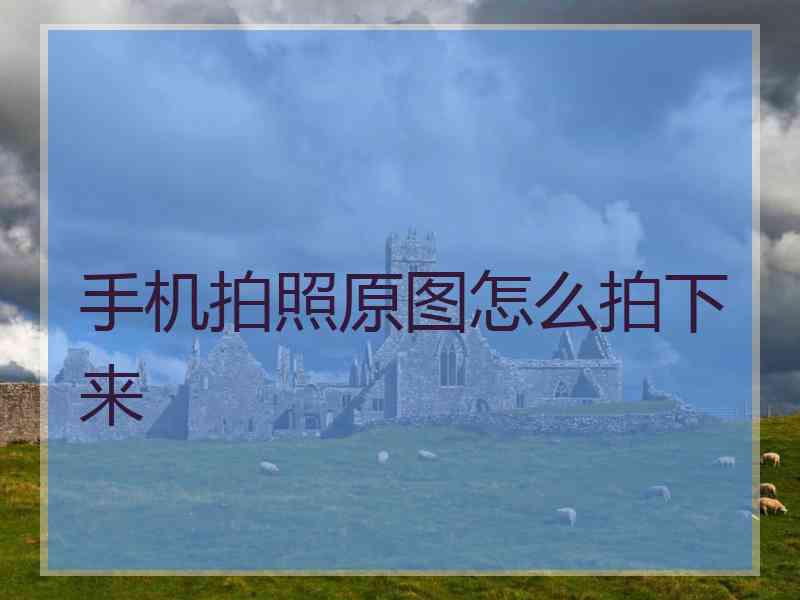手机拍照原图怎么拍下来