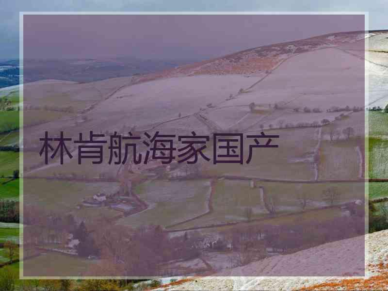 林肯航海家国产