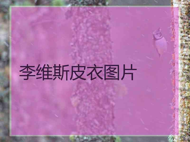 李维斯皮衣图片