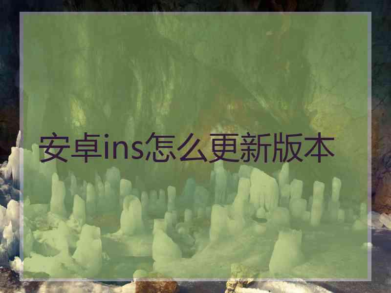 安卓ins怎么更新版本